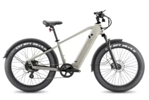 Electric bicycle rentals in New York City Central Park ny Nyc